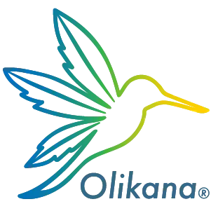 Location machine à glaçons professionnelle